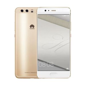 P10 Plus Reparatur