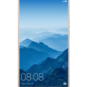 Mate 10 Reparatur